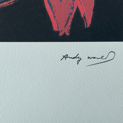 ANDY WARHOL Plains shield