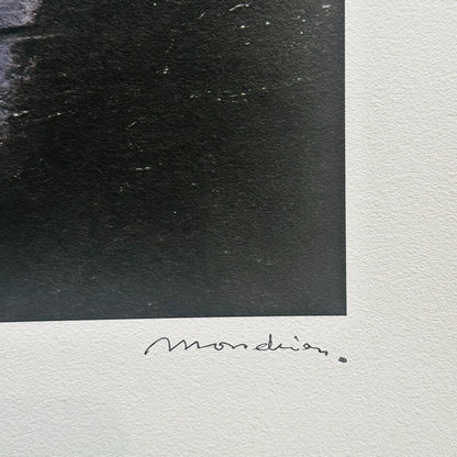 Genummerde editie PIET MONDRIAAN -Windmolen met maan - Certificaat - Limited lithografie - muurdecoratie - after